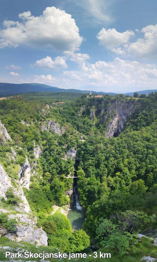 Bed And Breakfast Malovec Divača Eksteriør billede